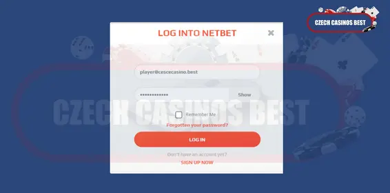 netbet casino login